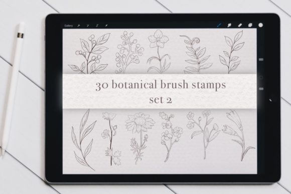 Botanical Brush Stamp Set 2: Elevate Your Digital Art
